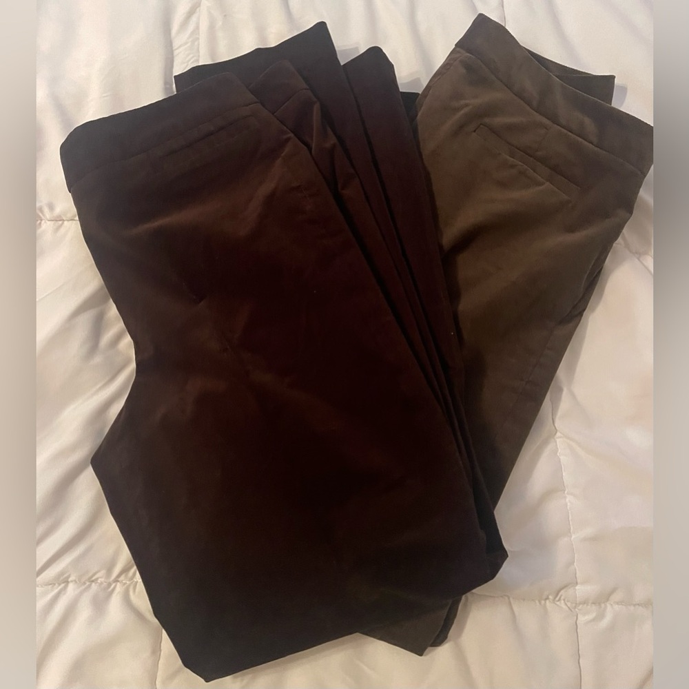 Elliott Lauren Needle Cords Pants Size 12 Two Pairs Brown Olive Green LOT Fall